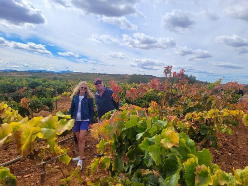 Semi-Private La Rioja Tour of 3 Premium Wineries from Bilbao - Key Points
