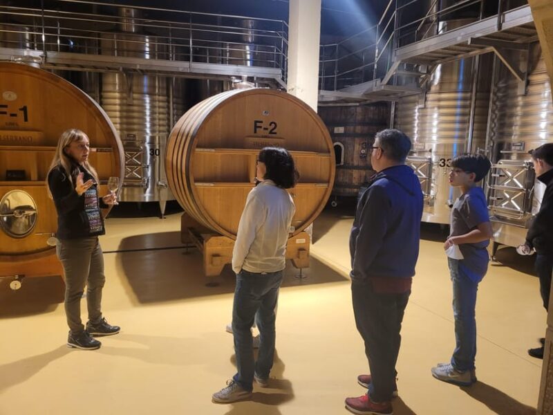 Semi-Private La Rioja Tour of 3 Premium Wineries from Bilbao - Final Thoughts