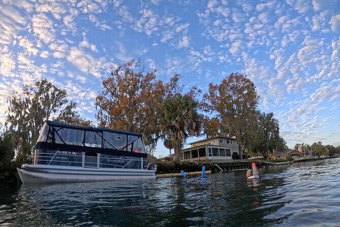 Semi Private Manatee Swim Tour - In Closing: Is It Worth It?