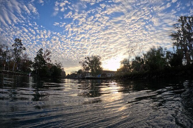 Semi Private Manatee Swim Tour - FAQ