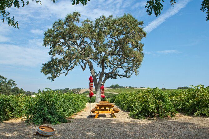 Semi-Private, Modified Hop-On Hop-Off Wine Tasting Tour from Morro and Cayucos - The Sum Up