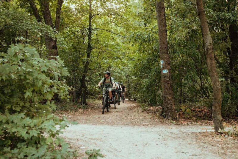 Semi-Private Off-Road eBike Tour in The Buda Hills - Key Points
