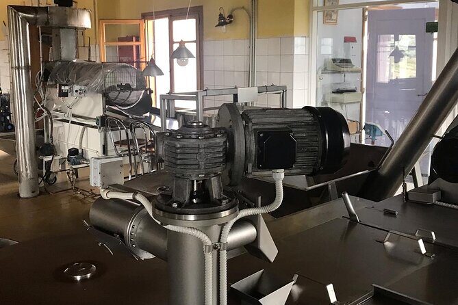 Semi- Private Olive Grove and Dragon Fruit Farm with Tastings - Practical Tips for Travelers