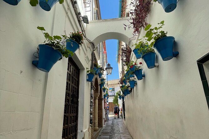 Semi Private Tour to Córdoba from Nerja - Key Points