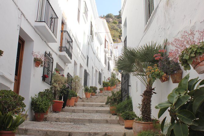 Semi-private Tour to Frigiliana and The Lost Village with lunch included - Analyzing the Value