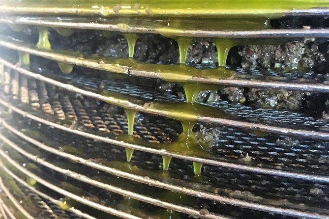 Semi Private Wine and Olive Oil tour (Transfer & Lunch Incl.) - The Sum Up: Is This Tour Worth It?