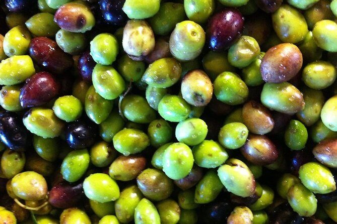 Semi Private Wine and Olive Oil tour (Transfer & Lunch Incl.) - FAQ