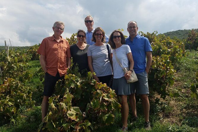 Semi-Private Wine Discovery Tour in Chania - An In-Depth Look at the Experience