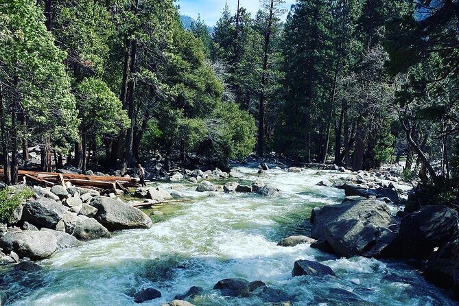 Semi Private Yosemite Valley Tour with Hotel Pick Up and Lunch - An In-Depth Look at the Yosemite Valley Tour
