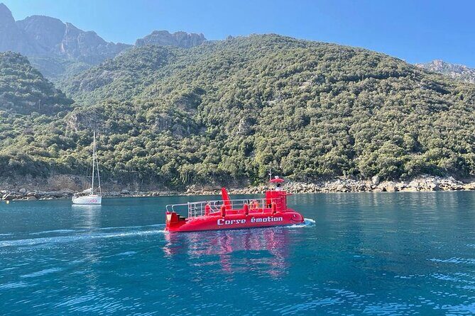 Semi-submarine: visit to the seabed of Porto Bay - Key Points