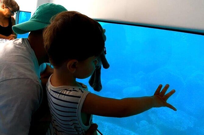 Semi-submarine: visit to the seabed of Porto Bay - What to Expect from the Semi-Submarine Experience