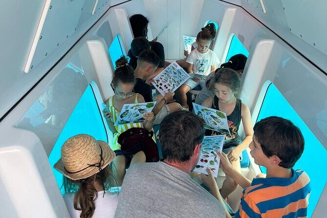 Semi-submarine: visit to the seabed of Porto Bay - Final Thoughts