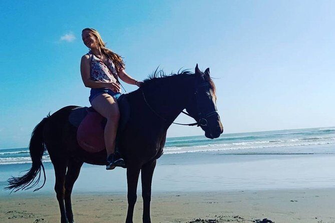 Seminyak beach Private Bali Horse Riding - Who Will Love This Tour?