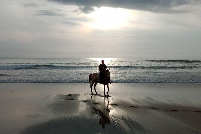 Seminyak beach Private Bali Horse Riding - Final Thoughts