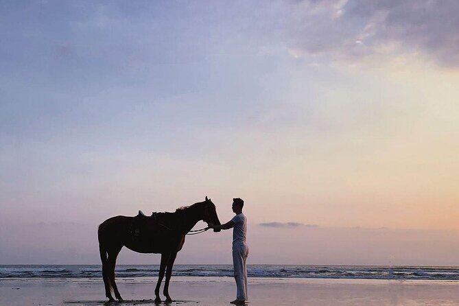 Seminyak beach Private Bali Horse Riding - FAQ