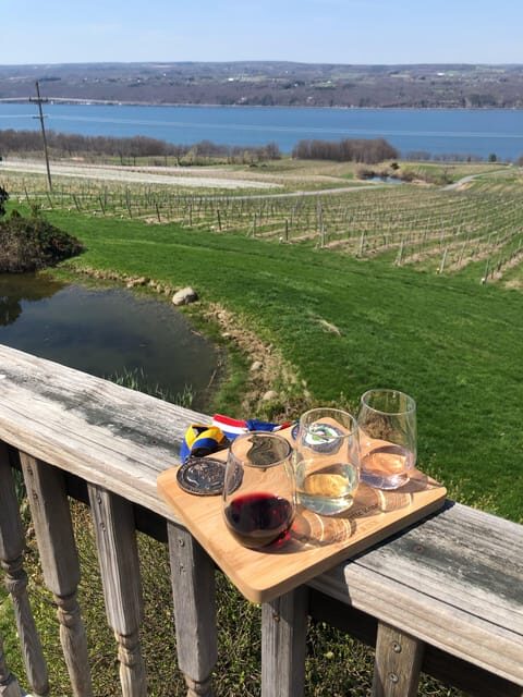 Seneca Lake: Wine Tasting Tour with Lunch - Who This Tour Suits Best