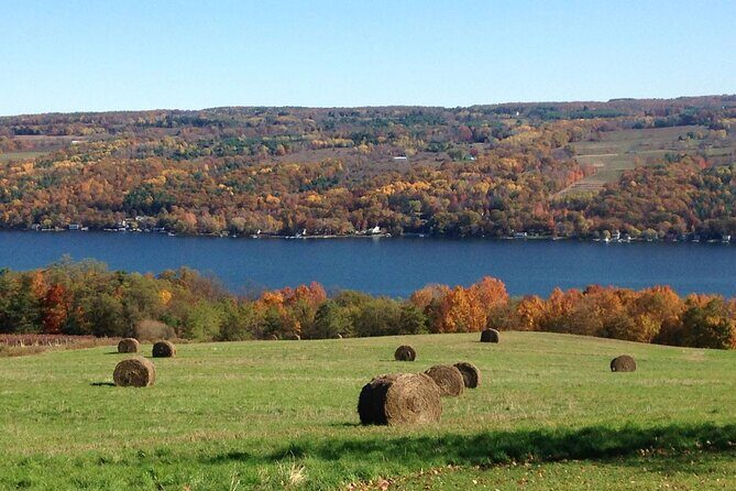 Seneca Lake Wine Tour - Customizable - Who Should Consider This Tour?