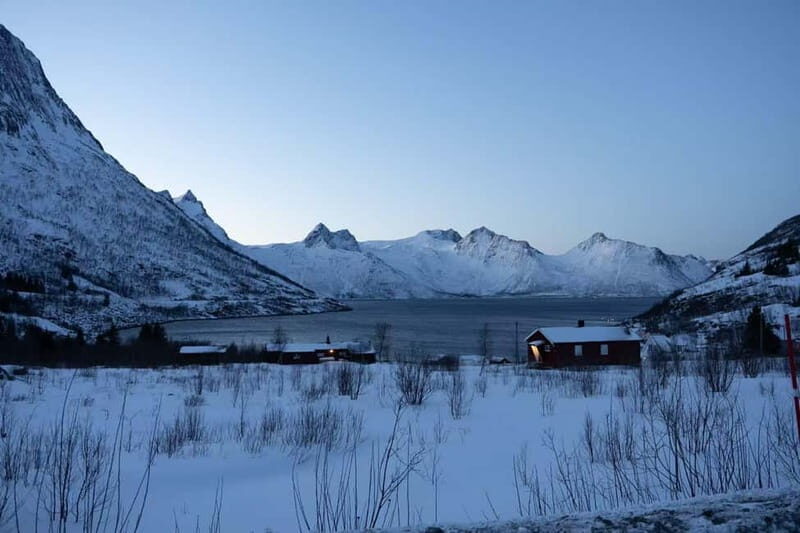 Senja: Full-Day Guided Tour with Husøy and Ersfjord - Key Points