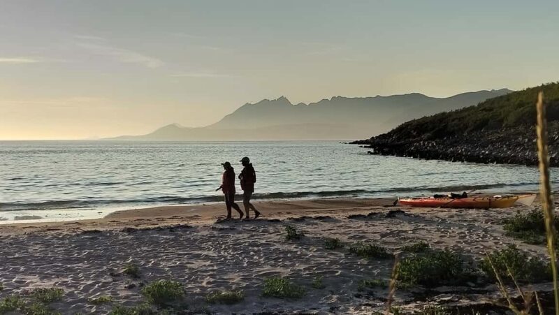 Senja: Guidet Evening Kayak Cruise - Key Points