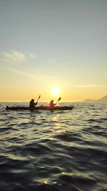 Senja: Guidet Evening Kayak Cruise - An In-Depth Look at the Senja Guided Evening Kayak Cruise