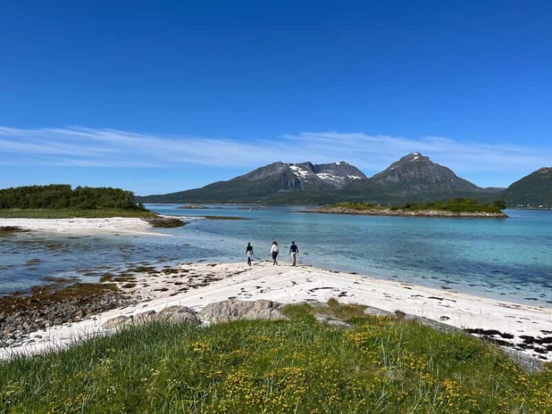 Senja: Guidet Fjord Kayaking in Ånderdalen Nationalpark - To sum it up, this Senja fjord kayaking experience offers a well-balanced blend of scenery, wildlife, and tranquility, all delivered in a small-group format led by passionate guides. Its a memorable way to see Norway’s rugged coast — slow, scenic, authentic, and undeniably beautiful.