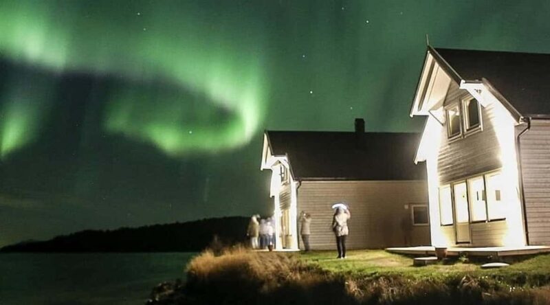 Senja: Wood-Fired Sauna Barrel - A Closer Look at the Sauna Barrel Experience