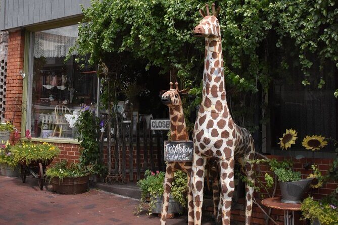 Senoia The Walking Dead Film locations 2 hours Walking Tour - Why this Tour Is Worth Considering