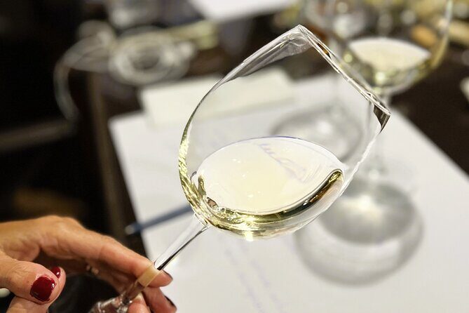 Sensory Tasting to Discover Wine with the 5 Senses - FAQ
