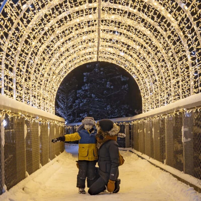 Sentier des cimes Laurentides: Treetop Observatory & Walk - Key Points
