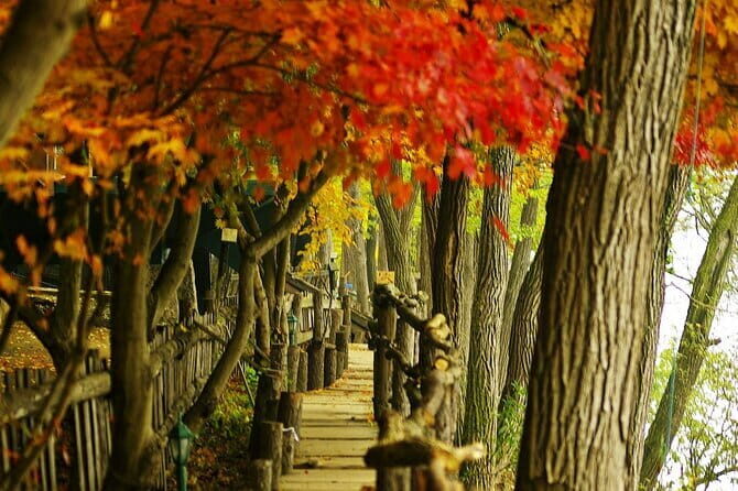 Seoraksan and Cherry Blossom Lake 1 day trip from Seoul - Final Thoughts: Is This Tour Right for You?