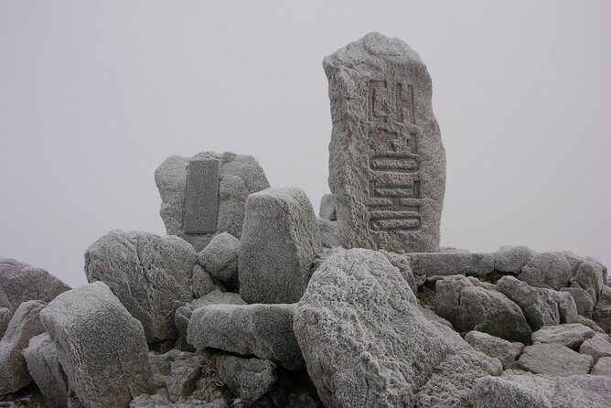 Seoraksan Daecheongbong(1,708m) Peak Hiking [1-Day Tour From Seoul] - An In-Depth Look at the Seoraksan Daecheongbong Hiking Tour