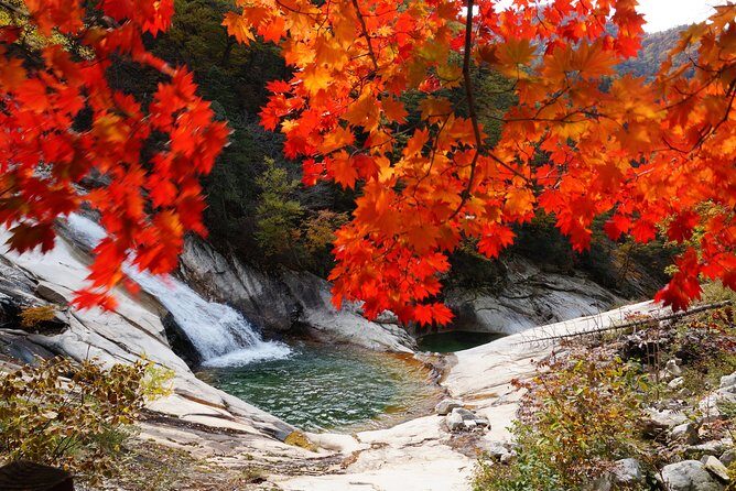 Seoraksan Daecheongbong(1,708m) Peak Hiking [1-Day Tour From Seoul] - Frequently Asked Questions