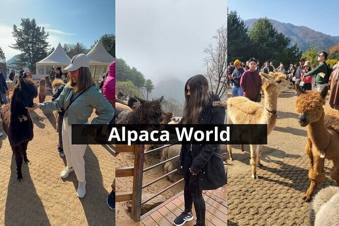 Seoraksan mt, Sokcho City, East DMZ Guided Tour - FAQ
