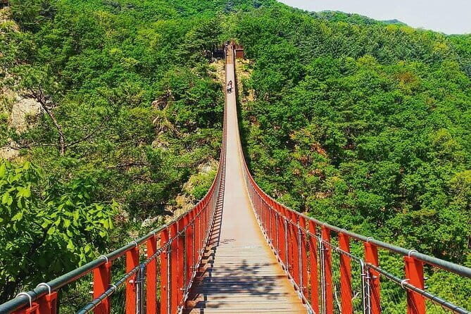 Seoul and Suburbs Private Customized Tour - Who Will Love This Tour?