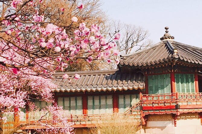 Seoul and Suburbs Private Customized Tour - Final Thoughts: Who Is This Tour Best For?