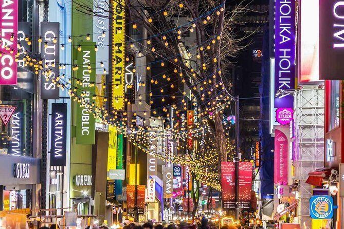 Seoul City Private Tour (Optional layover) - Who Would Love This Tour?