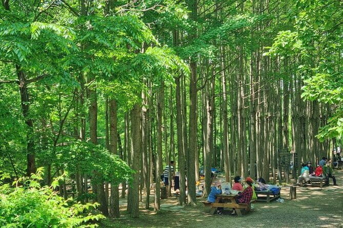 Seoul City Tour / Small Group / 8 Max - Key Points