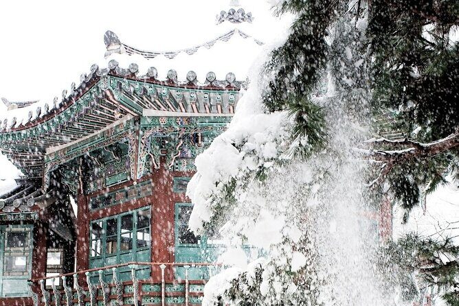 Seoul Private RV tour, explore real Korea from Past to Future - The Experience in Detail