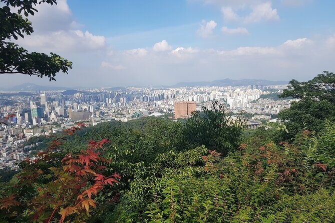 Seoul Tower walking tour - Practical Tips for Participants