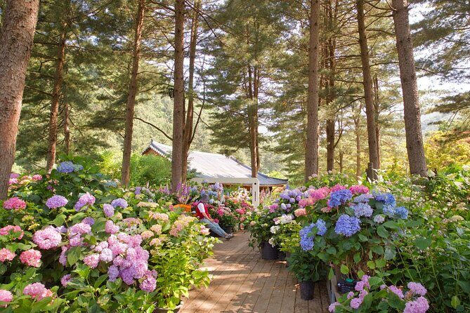 Seoul Vicinity 5 in 1: Nami Island, Garden of Morning Calm & More - Itinerary Breakdown: What You’ll Experience