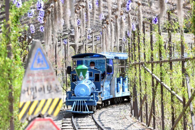 Seoul Vicinity 5 in 1: Nami Island, Garden of Morning Calm & More - FAQ