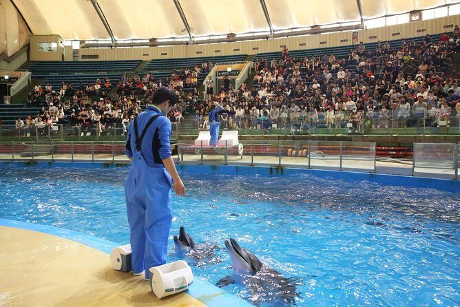 Seoulland & Seoul Zoo Discount Ticket(+  *) - The Convenience Factor