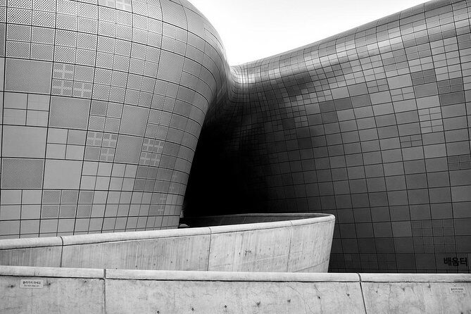 Seoul's Democratic Awakening: A Modern Korean History Tour - Who is this tour best suited for?