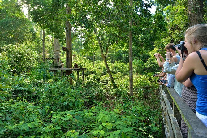 Sepilok Orang Utan & Bornean Sun Bear Centre with Sandakan City Tour with Lunch - Practical Details and Considerations