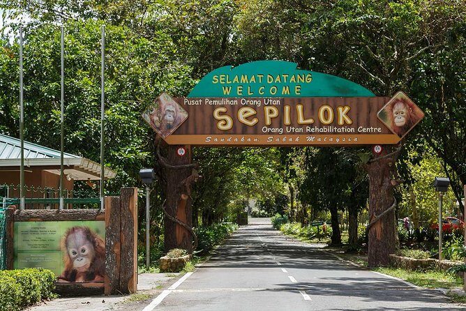 Sepilok Orang Utan, Labuk Bay Proboscis Monkey and Sun Bear Tour - Final Thoughts