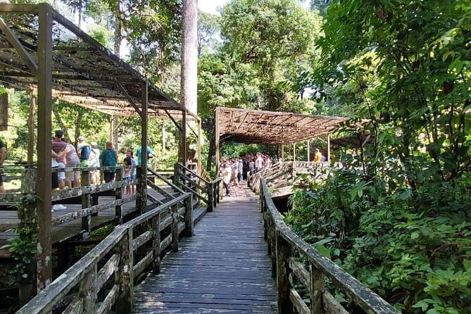 Sepilok Orangutan , SunBear, Proboscis Monkey from Sandakan City - Key Points