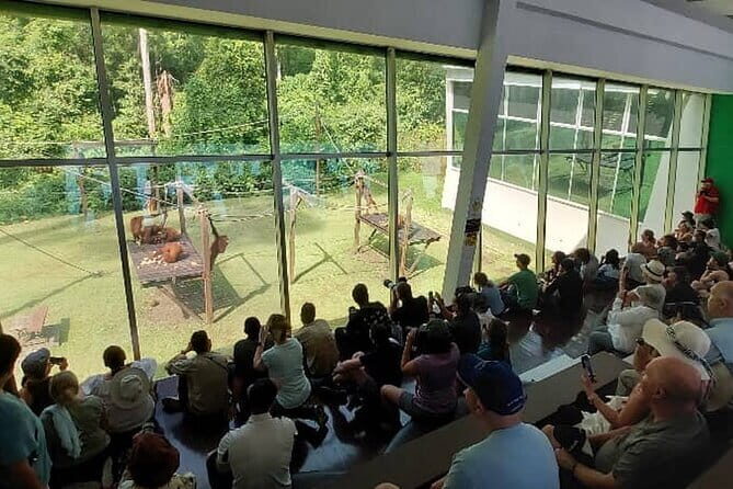 Sepilok Orangutan , SunBear, Proboscis Monkey from Sandakan City - Final Thoughts: Is It Worth It?