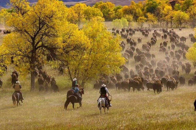 Sept 26 Only - 2025 Custer State Park Buffalo Roundup - Public - Final Thoughts