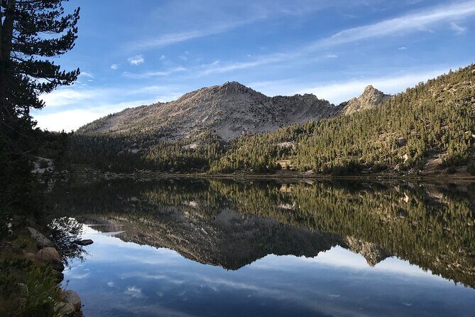 Sequoia Full Day Private Tour and Hike - An In-Depth Look at the Sequoia Full Day Private Tour