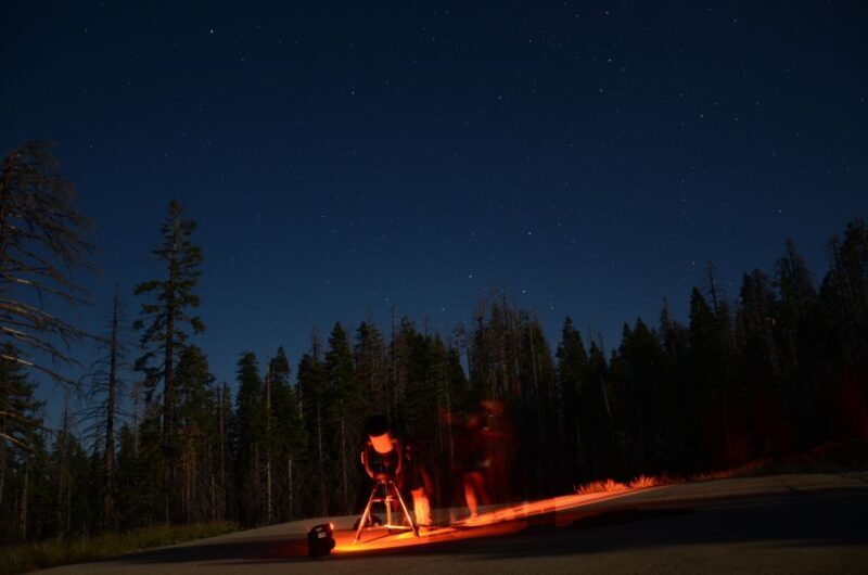 Sequoia National Park: Sherman Tree & Congress Trail Walk - Key Points